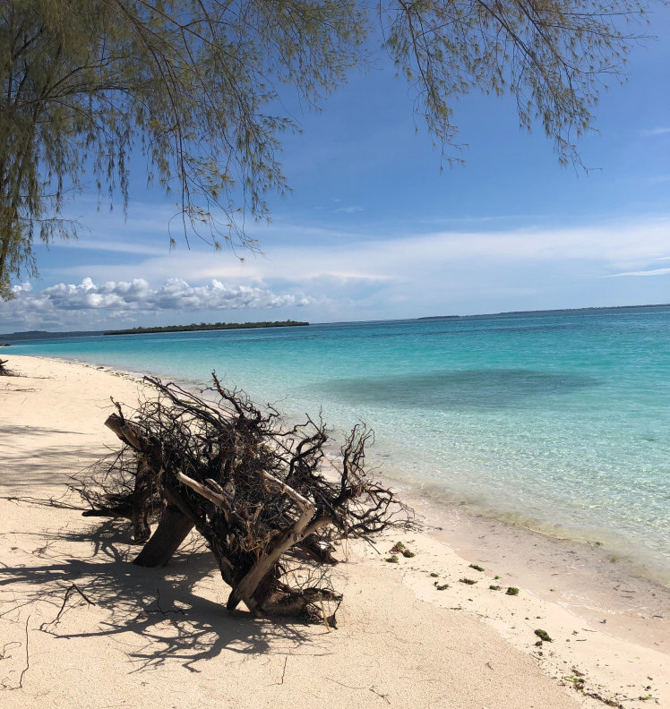 Zanzibar Beach