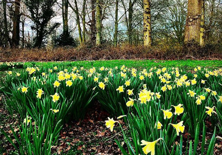 Felbrigg Garden Norfolk by 13 Weeks Travel