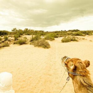 Cheap Holidays to Gran Canaria| sand dunes desert with a camel and a lead