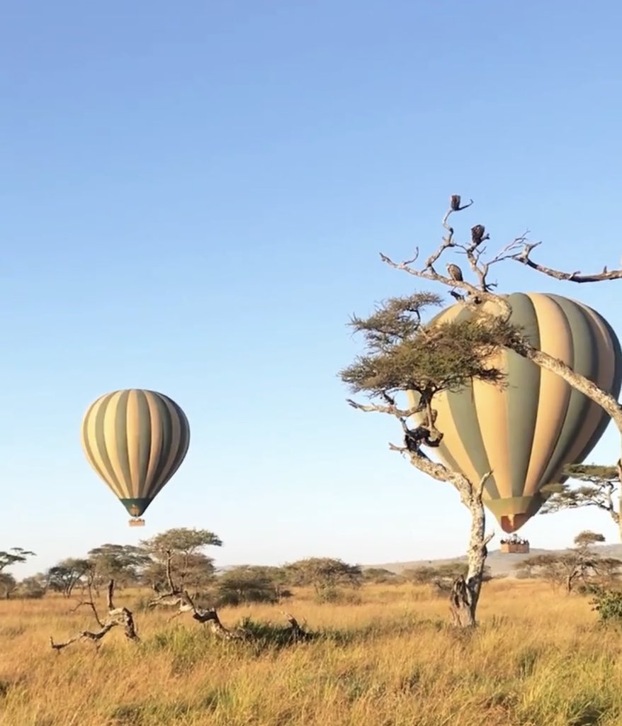 Kenya Africa Safari | Hot Air Balloon