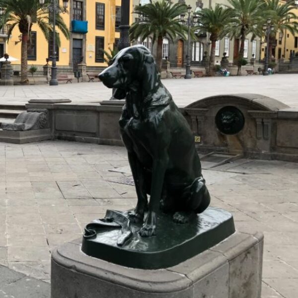 Cheap Holidays To Gran Canaria | Black Dog Cannes